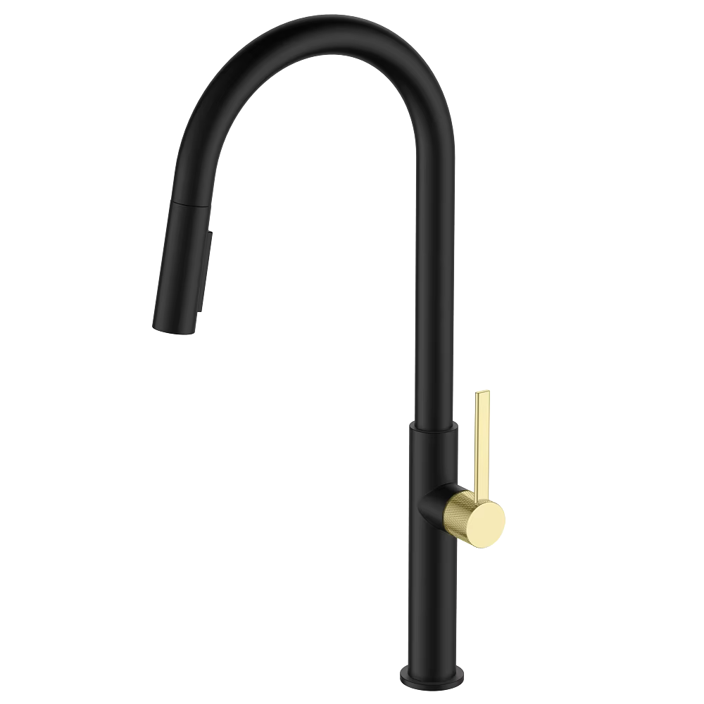 Tasmania AquaSense Noir & Or - Mitigeur cuisine