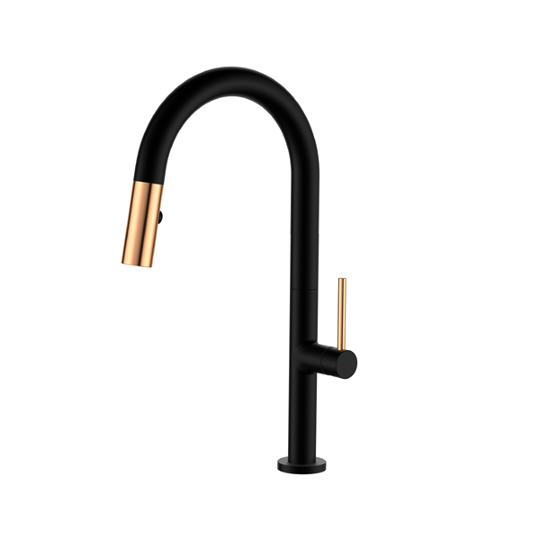 Tasmania FlexLine - Mitigeur cuisine extractible noir et or