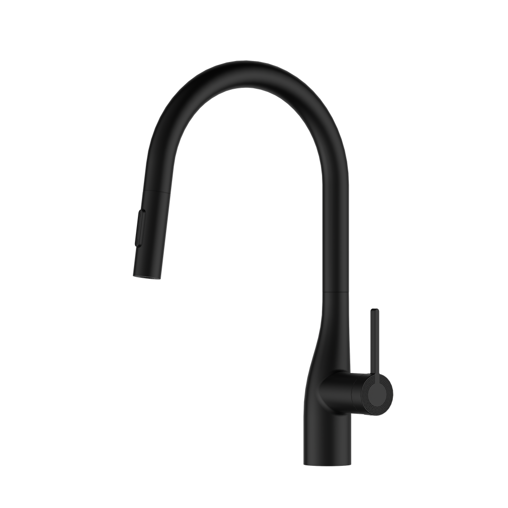 Danube MasterFlow - Mitigeur cuisine extractible design