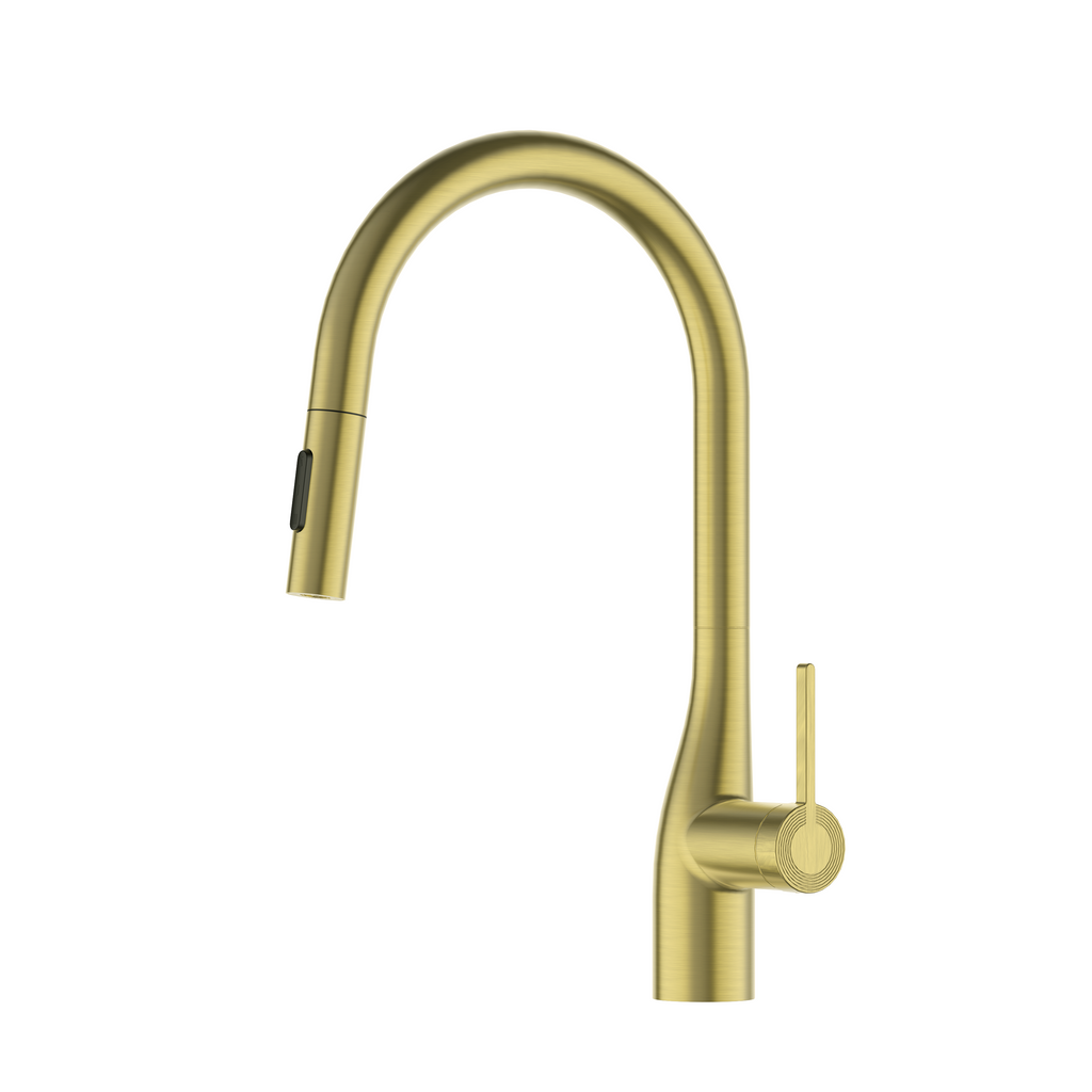 Danube MasterFlow - Mitigeur cuisine extractible design