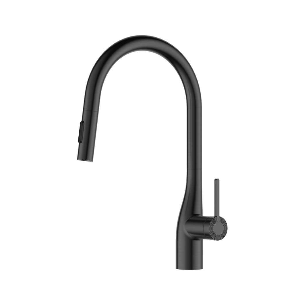 Danube MasterFlow - Mitigeur cuisine extractible design