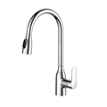 Motion Pull-Out Duo Chrome